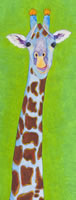 Hanaa the Giraffe
